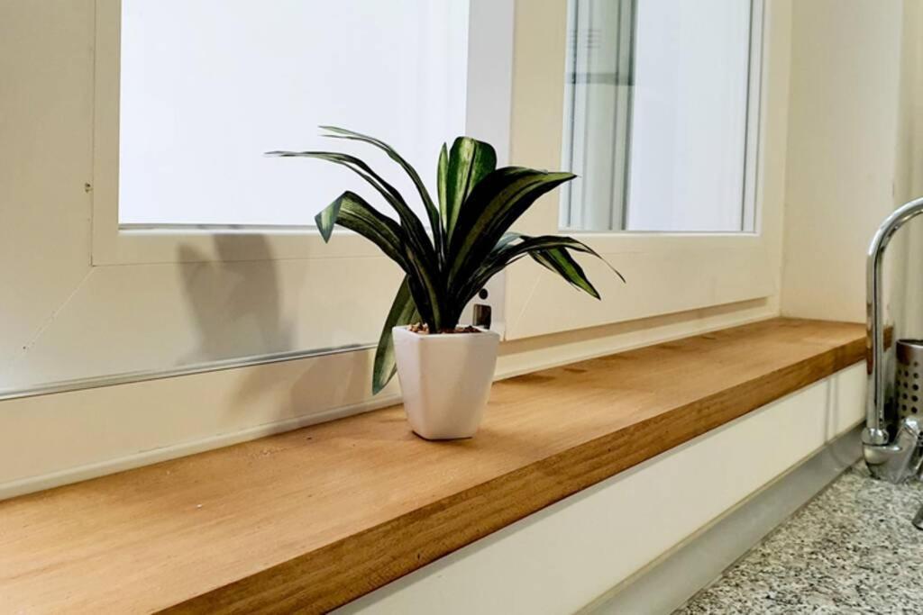 Apartamento Interior En Absoluto Centro En Algeciras 1º A Ngoại thất bức ảnh